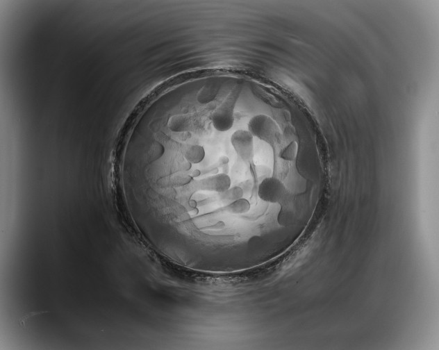 X0000088480875200705291625