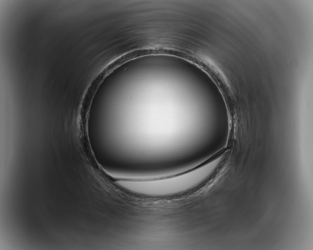 X0000088480876200705291625