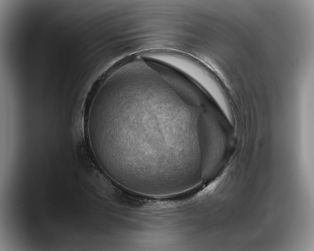 X0000088480877200705291625