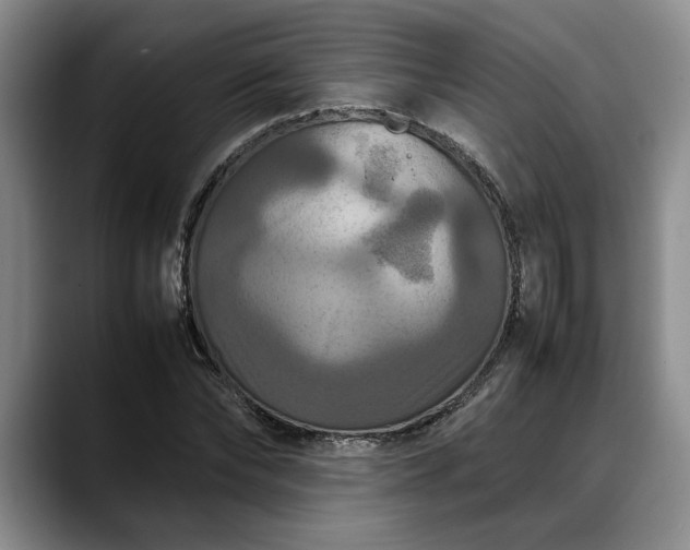 X0000088480878200705291625