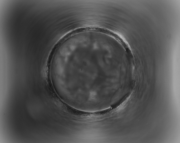 X0000088480879200705291625