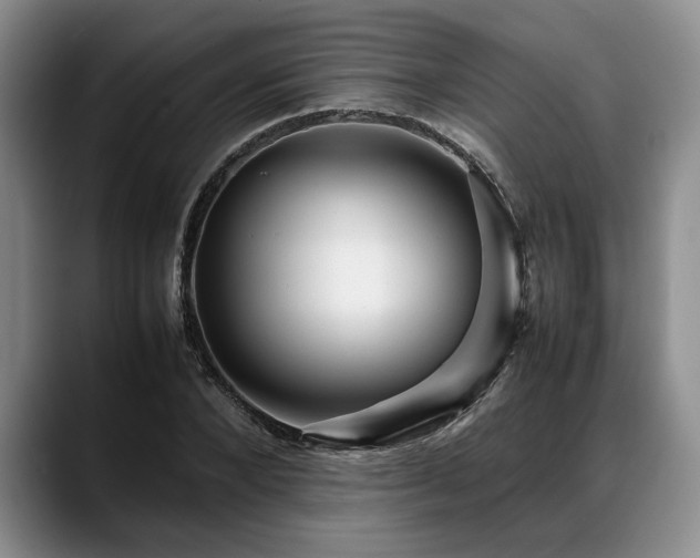X0000088480880200705291625