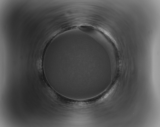 X0000088480881200705291625