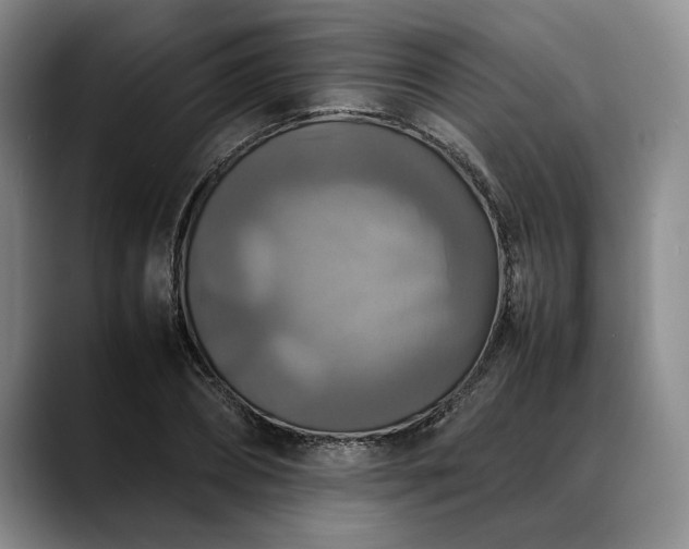 X0000088480882200705291625