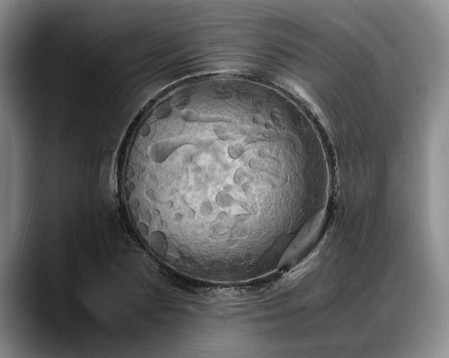 X0000088480883200705291625