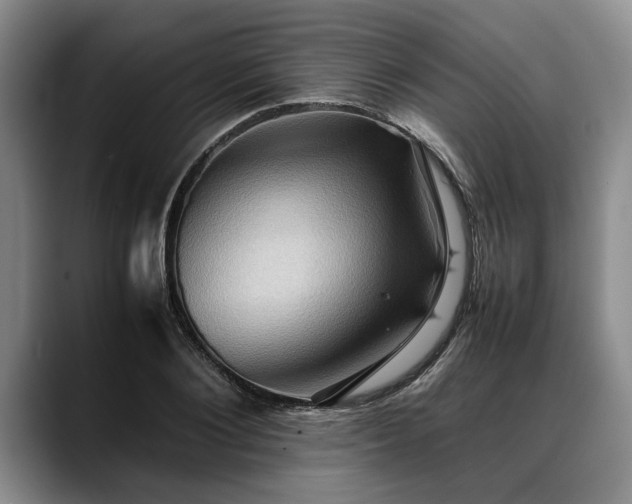 X0000088480884200705291625
