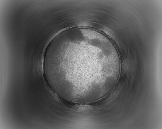 X0000088480886200705291625