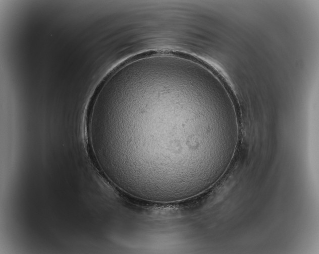 X0000088480887200705291625