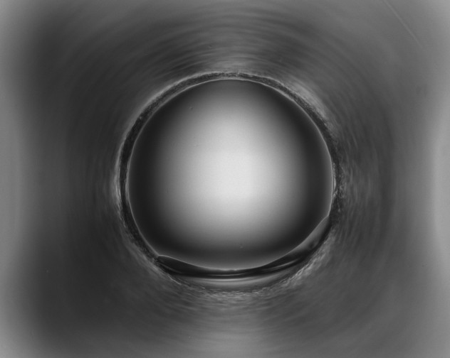 X0000088480888200705291625