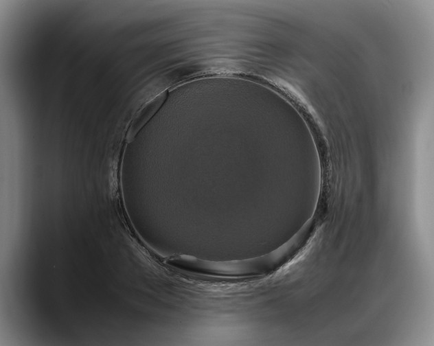 X0000088480889200705291625