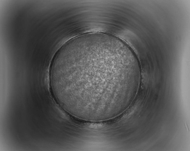 X0000088480890200705291625