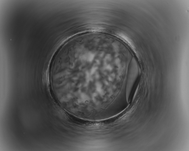 X0000088480891200705291625