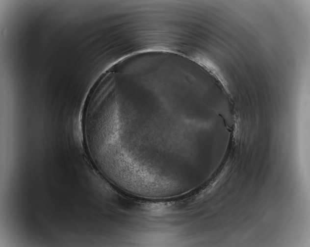 X0000088480892200705291625