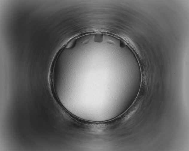 X0000088480893200705291625