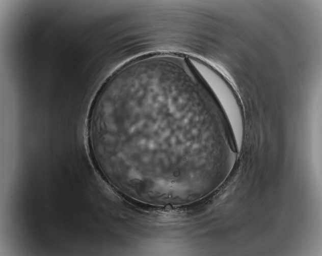 X0000088480895200705291625