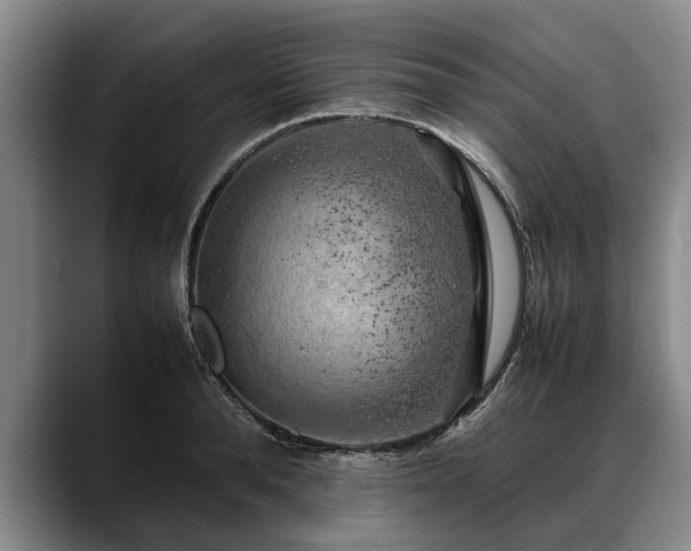 X0000088480896200705291625