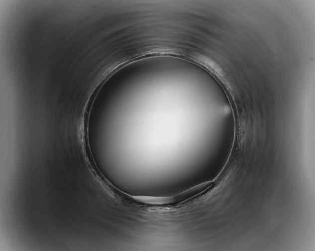 X0000088480898200705291625