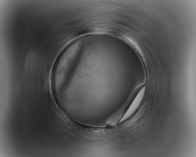 X0000088480899200705291625