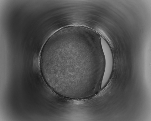 X0000088480900200705291625