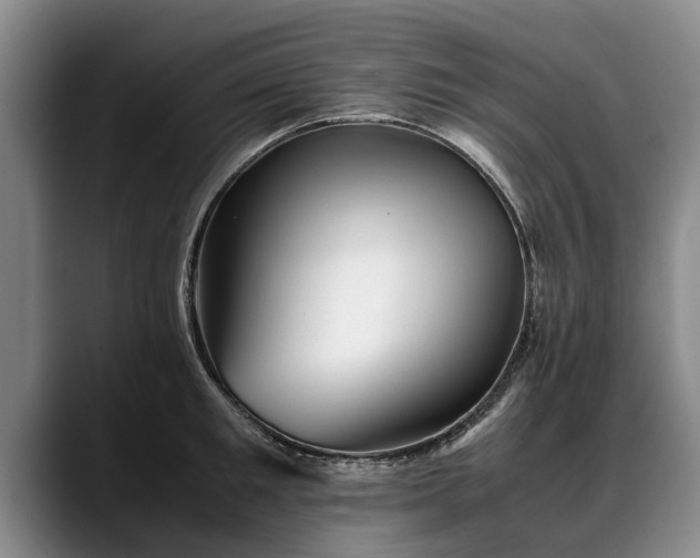 X0000088480901200705291625