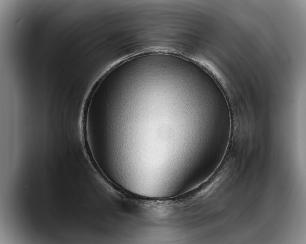 X0000088480902200705291625