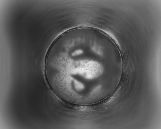X0000088480903200705291625