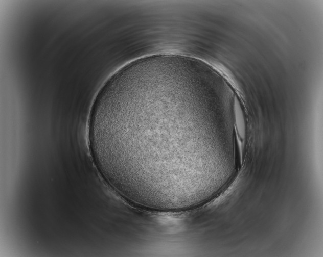 X0000088480904200705291625