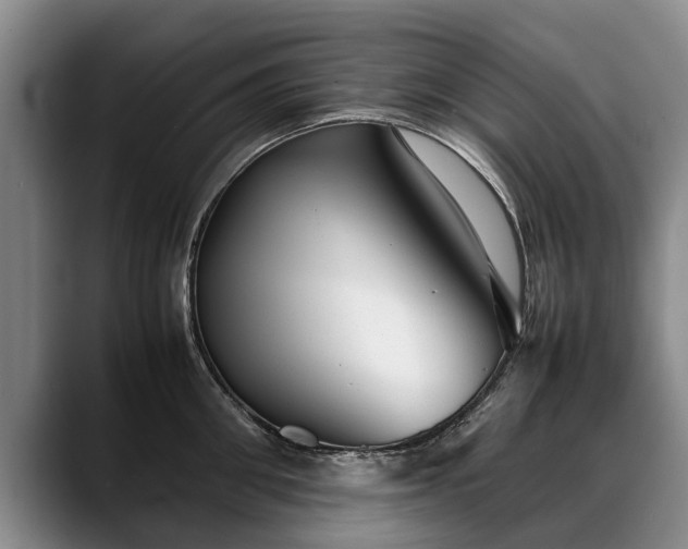 X0000088480906200705291625