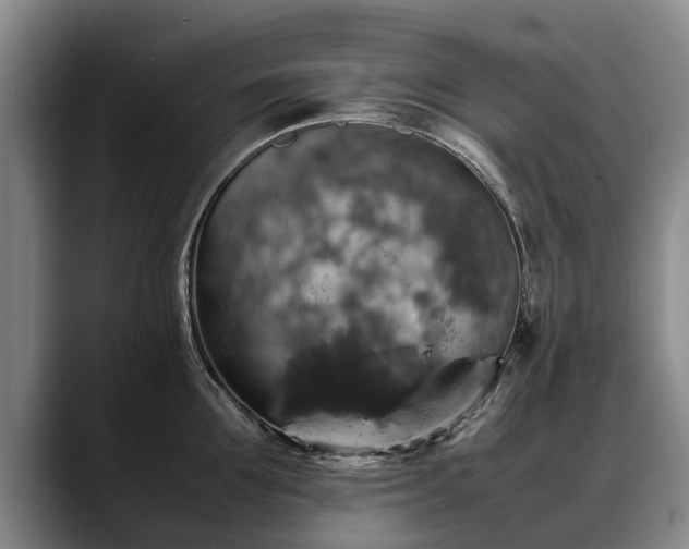 X0000088480907200705291625