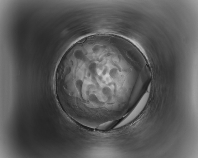 X0000088480911200705291625