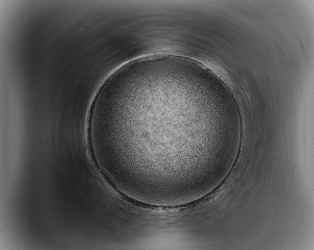 X0000088480912200705291625
