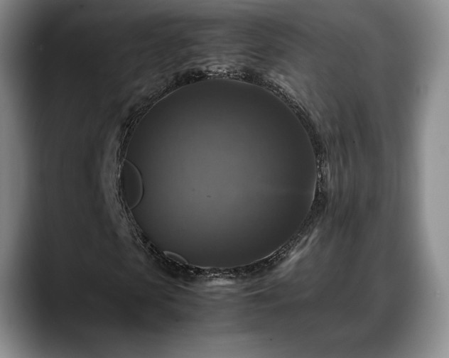 X0000088480913200705291624
