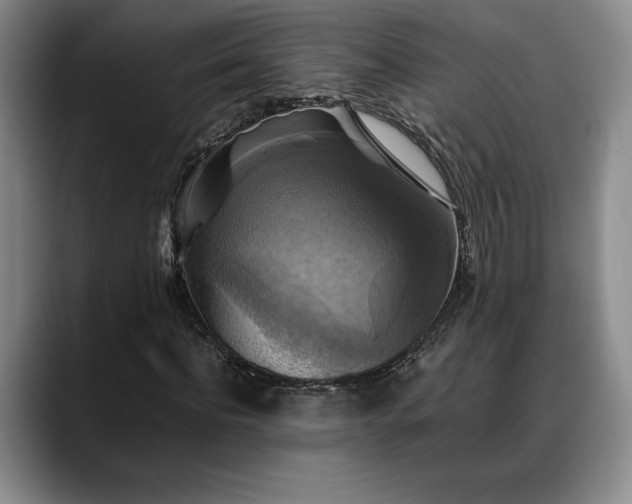 X0000088480916200705291624