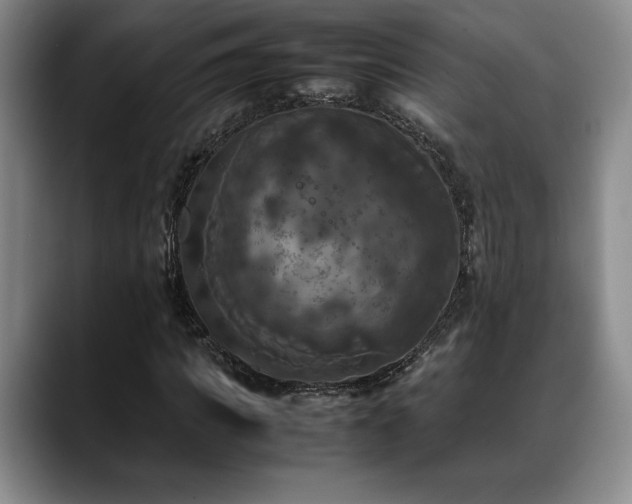 X0000088480917200705291624