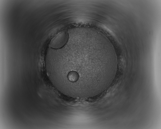 X0000088480918200705291624