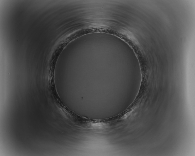 X0000088480920200705291624