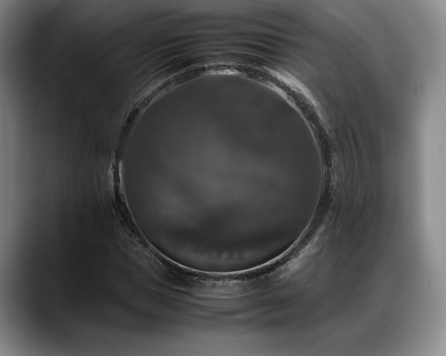 X0000088480921200705291624