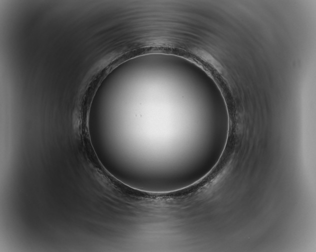 X0000088480922200705291624