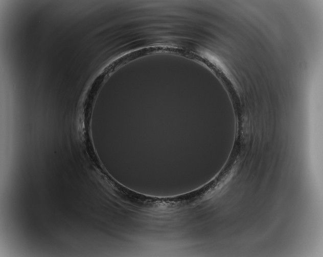 X0000088480923200705291624