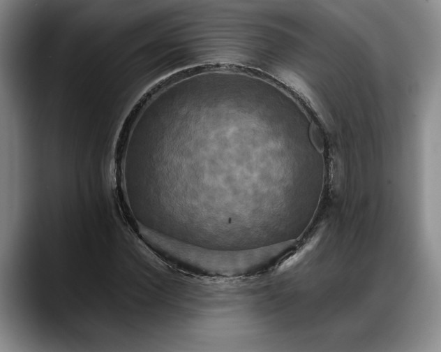 X0000088480924200705291624