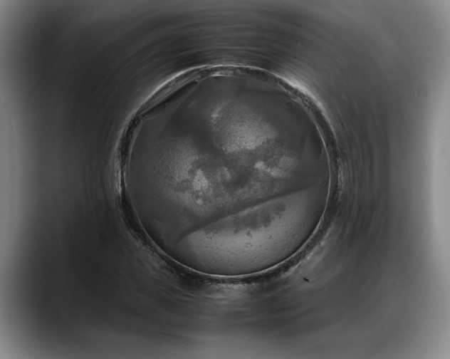 X0000088480925200705291624