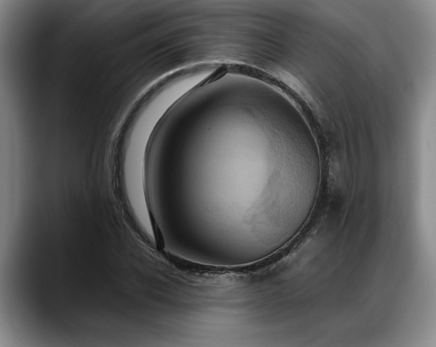 X0000088480926200705291624