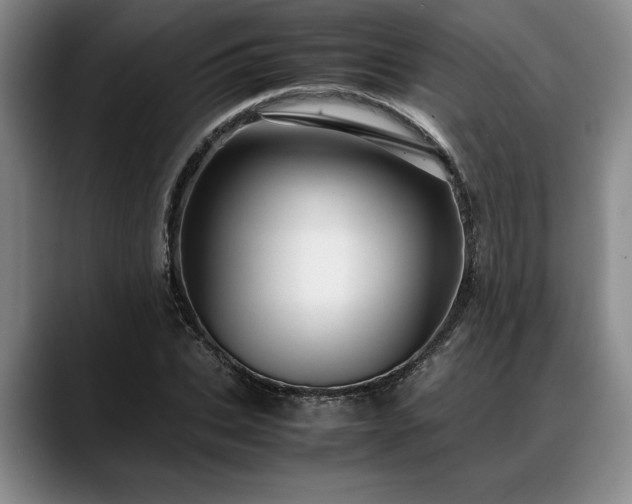 X0000088480927200705291624
