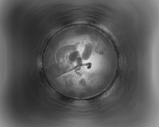 X0000088480929200705291624