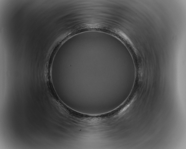 X0000088480930200705291624