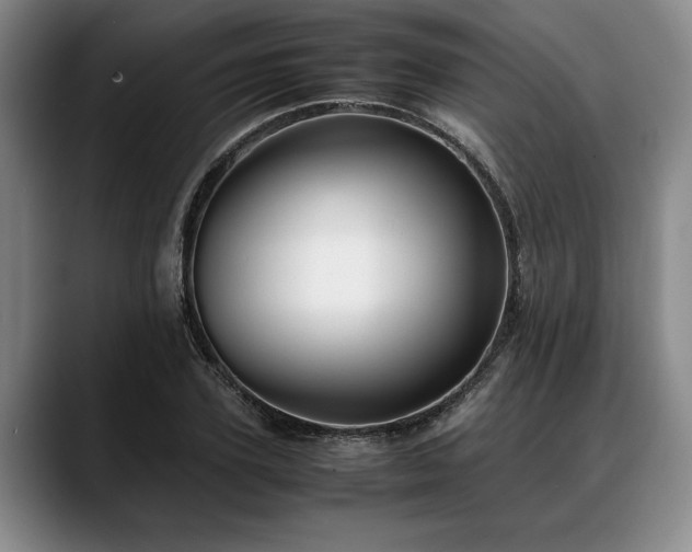 X0000088480931200705291624