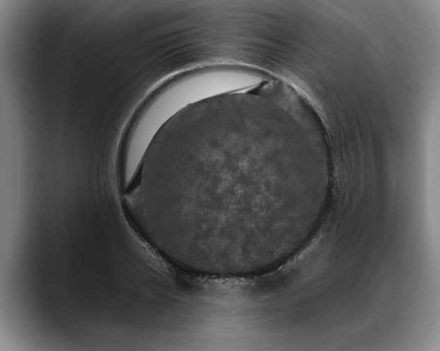 X0000088480934200705291624