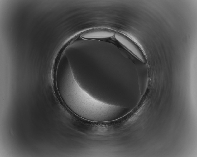 X0000088480935200705291624