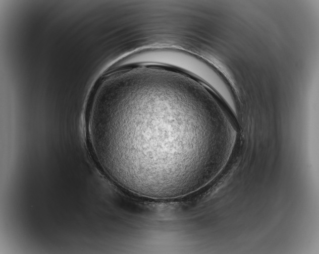 X0000088480936200705291624