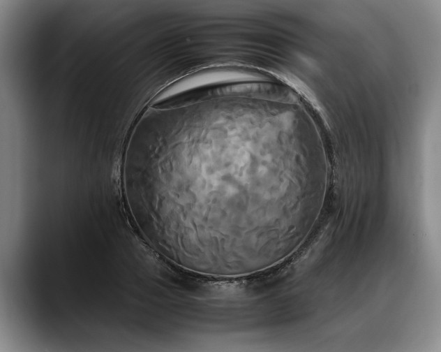 X0000088480937200705291624